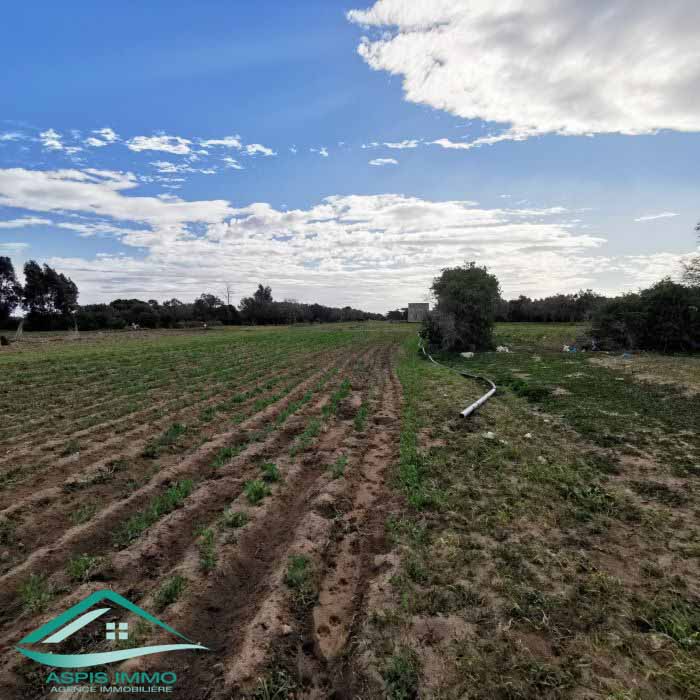 Hammam El Ghezaz&nbsp;Hammam El Ghezaz&nbsp;Vente&nbsp;Surfaces&nbsp;Vt778 terrain agricole 5396 m2 � hamam ghzez