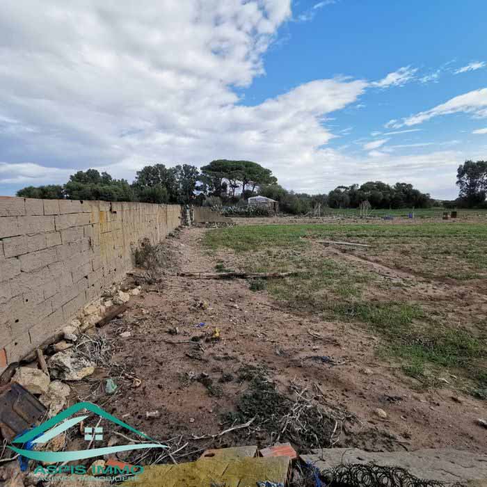 Hammam El Ghezaz&nbsp;Hammam El Ghezaz&nbsp;Vente&nbsp;Surfaces&nbsp;Vt778 terrain agricole 5396 m2 � hamam ghzez