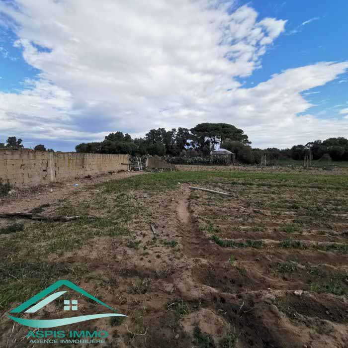 Hammam El Ghezaz&nbsp;Hammam El Ghezaz&nbsp;Vente&nbsp;Surfaces&nbsp;Vt778 terrain agricole 5396 m2 � hamam ghzez