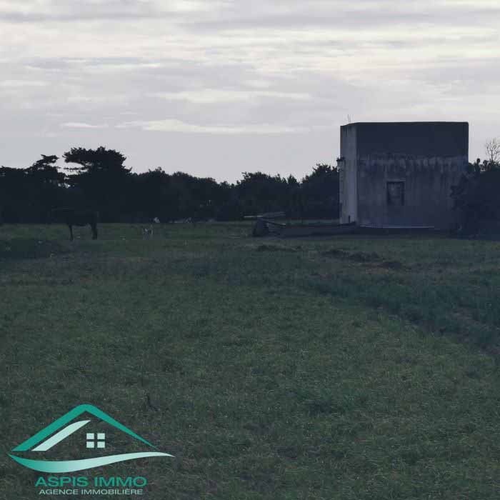 Hammam El Ghezaz&nbsp;Hammam El Ghezaz&nbsp;Vente&nbsp;Surfaces&nbsp;Vt778 terrain agricole 5396 m2 � hamam ghzez