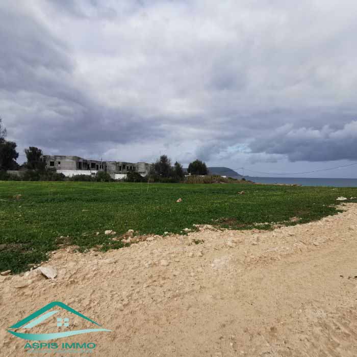 Vente Surfaces - Tunisie