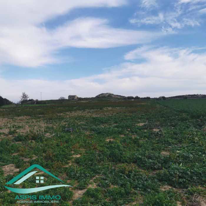 Vente Surfaces - Tunisie