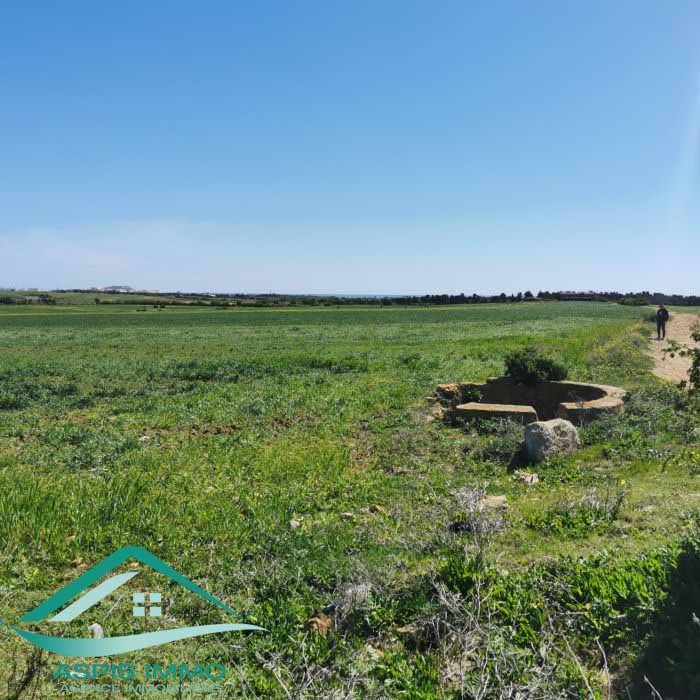 Vente Surfaces - Tunisie