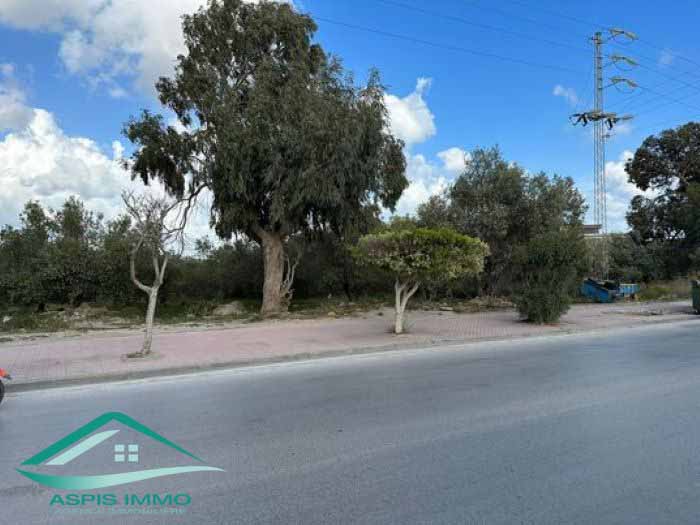 Kelibia Kelibia Vente Surfaces Vt812 terrain commercial 580 m2  kelibia