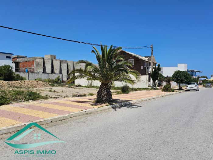 Kelibia Kelibia Vente Surfaces Vt820 terrain 199 m2  el mansourah kelibia