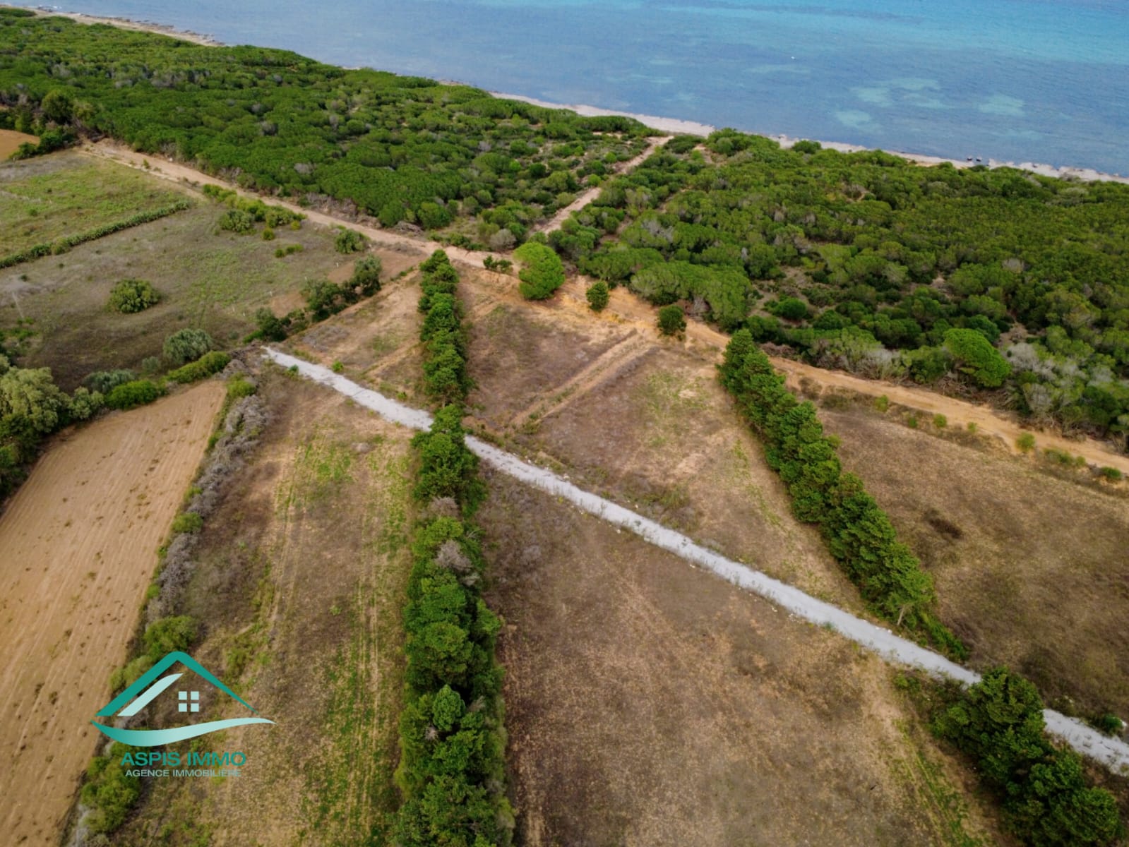 Kelibia Kerkouane Vente Surfaces Vt825 terrain 1149 m2  kerkouene