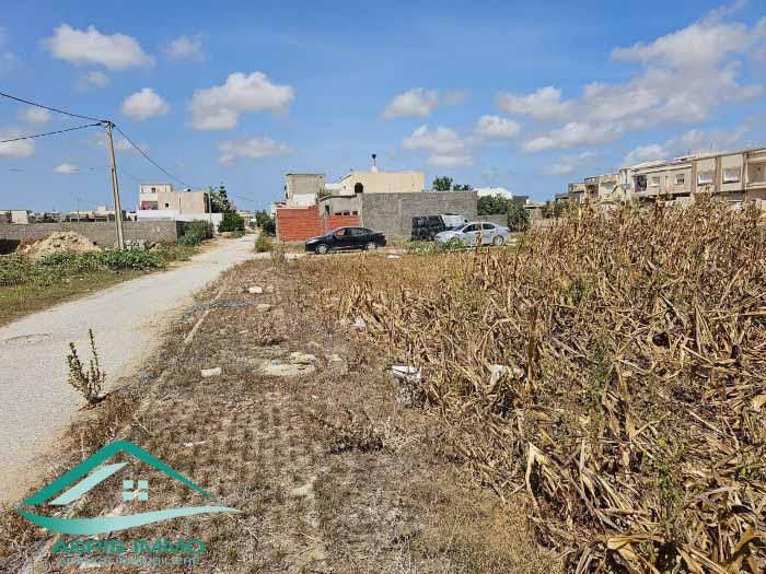 Kelibia&nbsp;Kelibia&nbsp;Vente&nbsp;Surfaces&nbsp;Vt835 terrain 280 m2 � cit� jadaria kelibia