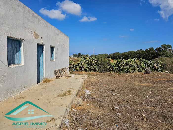 Kelibia Kerkouane Vente Surfaces Vt849 terrain agricole 13500 m2  kerkouene