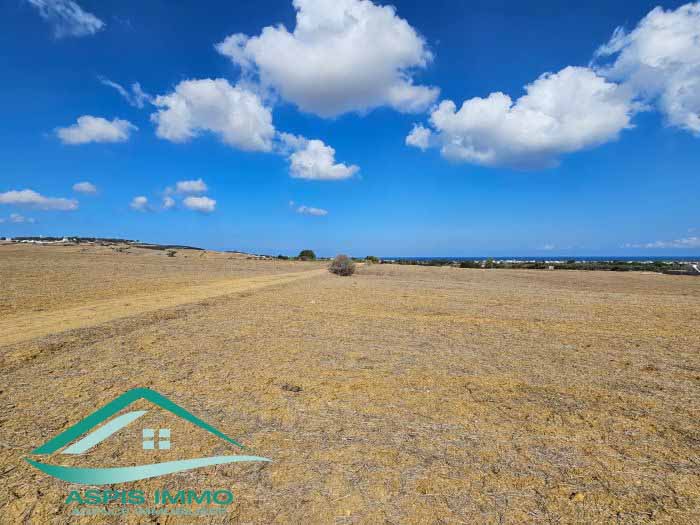 Hammam El Ghezaz Tamazrat Vente Surfaces Vt850 terrain agricole 5980 m2  tamezrat kelibia