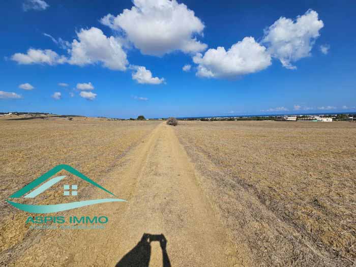 Hammam El Ghezaz Tamazrat Vente Surfaces Vt850 terrain agricole 5980 m2  tamezrat kelibia