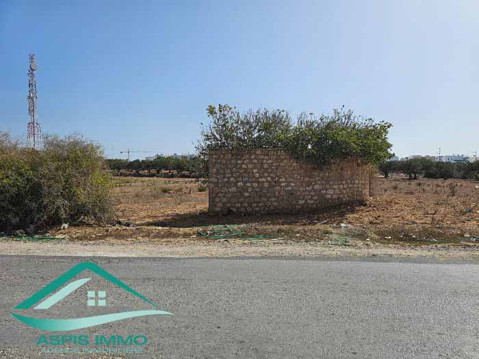 Kelibia&nbsp;Kelibia&nbsp;Vente&nbsp;Surfaces&nbsp;Vt861 terrain 246 m2 � kelibia