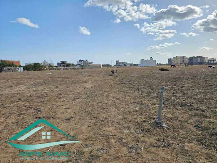 Kelibia&nbsp;Kelibia&nbsp;Vente&nbsp;Surfaces&nbsp;Vt873 terrain 160 m2 � hammem ghzeez