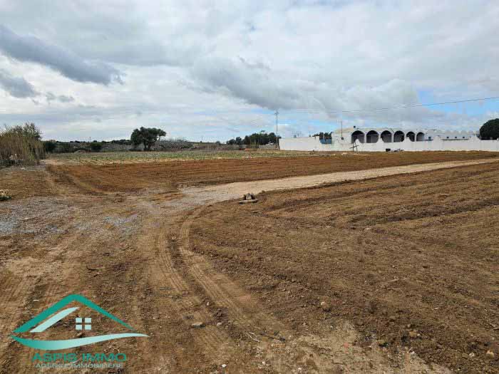 Kelibia&nbsp;Kelibia&nbsp;Vente&nbsp;Surfaces&nbsp;Vt875 terrain 331 m2 � sidi mansour kelibia