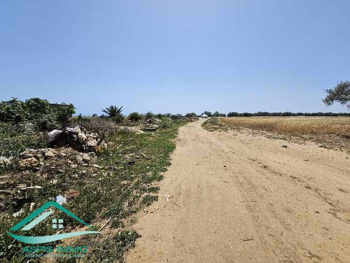 Vente Surfaces - Tunisie