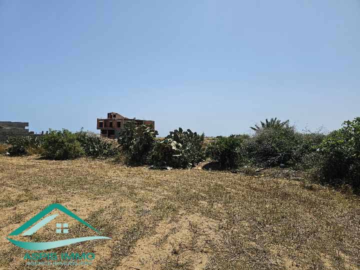 Kelibia Kelibia Vente Surfaces Vt904 terrain agricole 8755 m2  kelibia