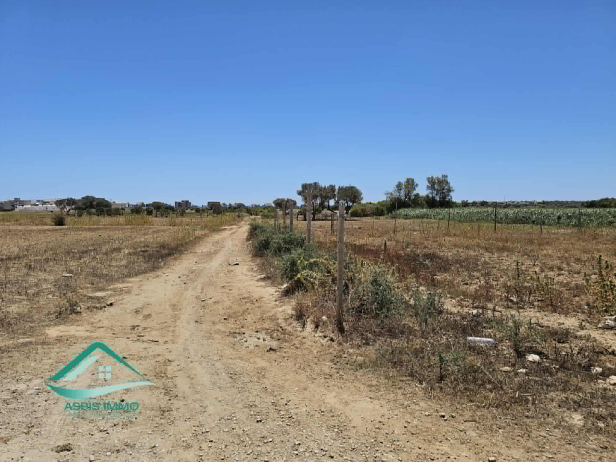 Kelibia&nbsp;Kelibia&nbsp;Vente&nbsp;Surfaces&nbsp;Vt915 terrain 600 m2 � ezzahra kelibia