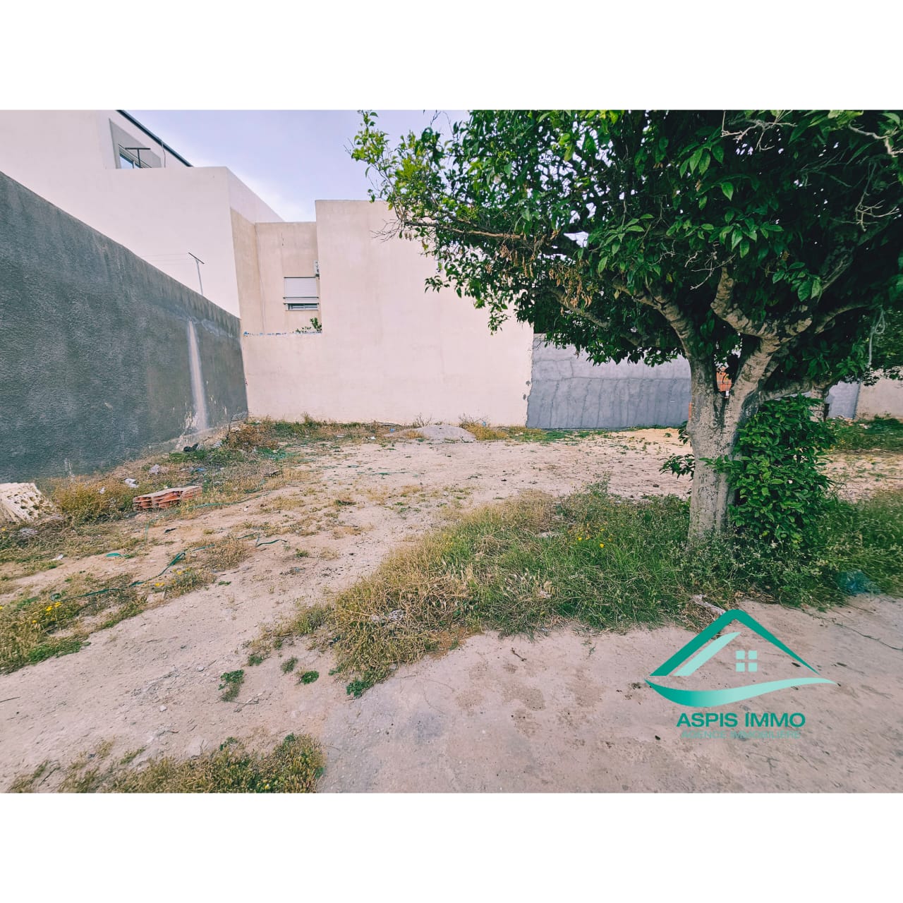 Kelibia&nbsp;Kelibia&nbsp;Vente&nbsp;Surfaces&nbsp;Vt921 terrain 260 m2 � cit� merdes kelibia