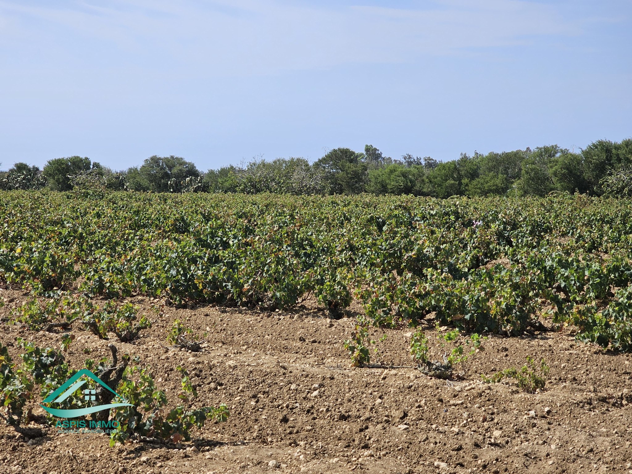 Vente Surfaces - Tunisie