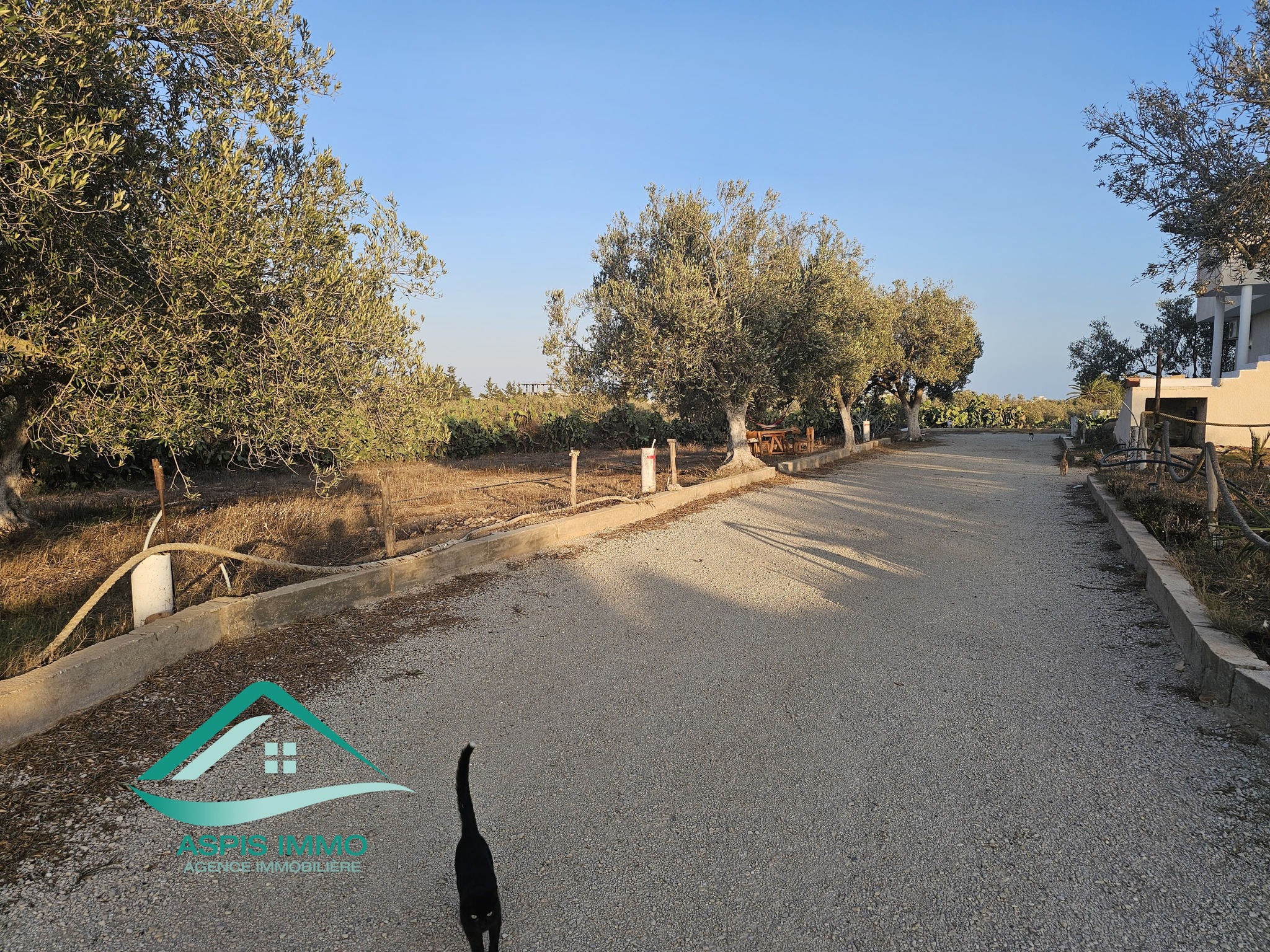 Kelibia&nbsp;Kelibia&nbsp;Vente&nbsp;Surfaces&nbsp;Vt929 terrain 430 m2 � kelibia