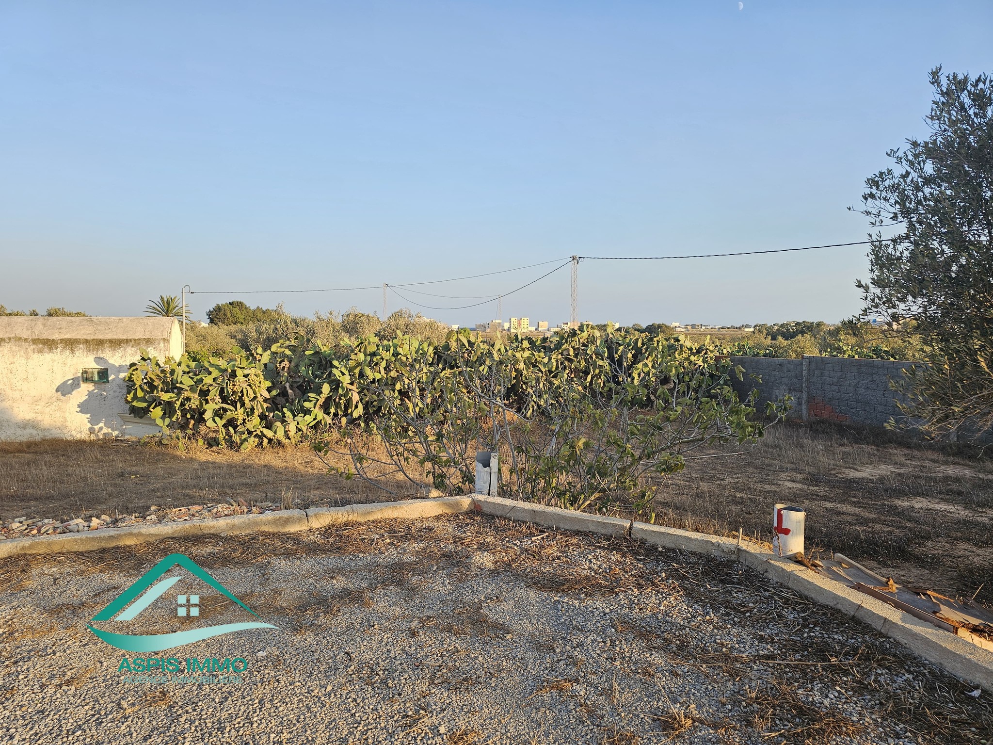 Kelibia&nbsp;Kelibia&nbsp;Vente&nbsp;Surfaces&nbsp;Vt929 terrain 430 m2 � kelibia