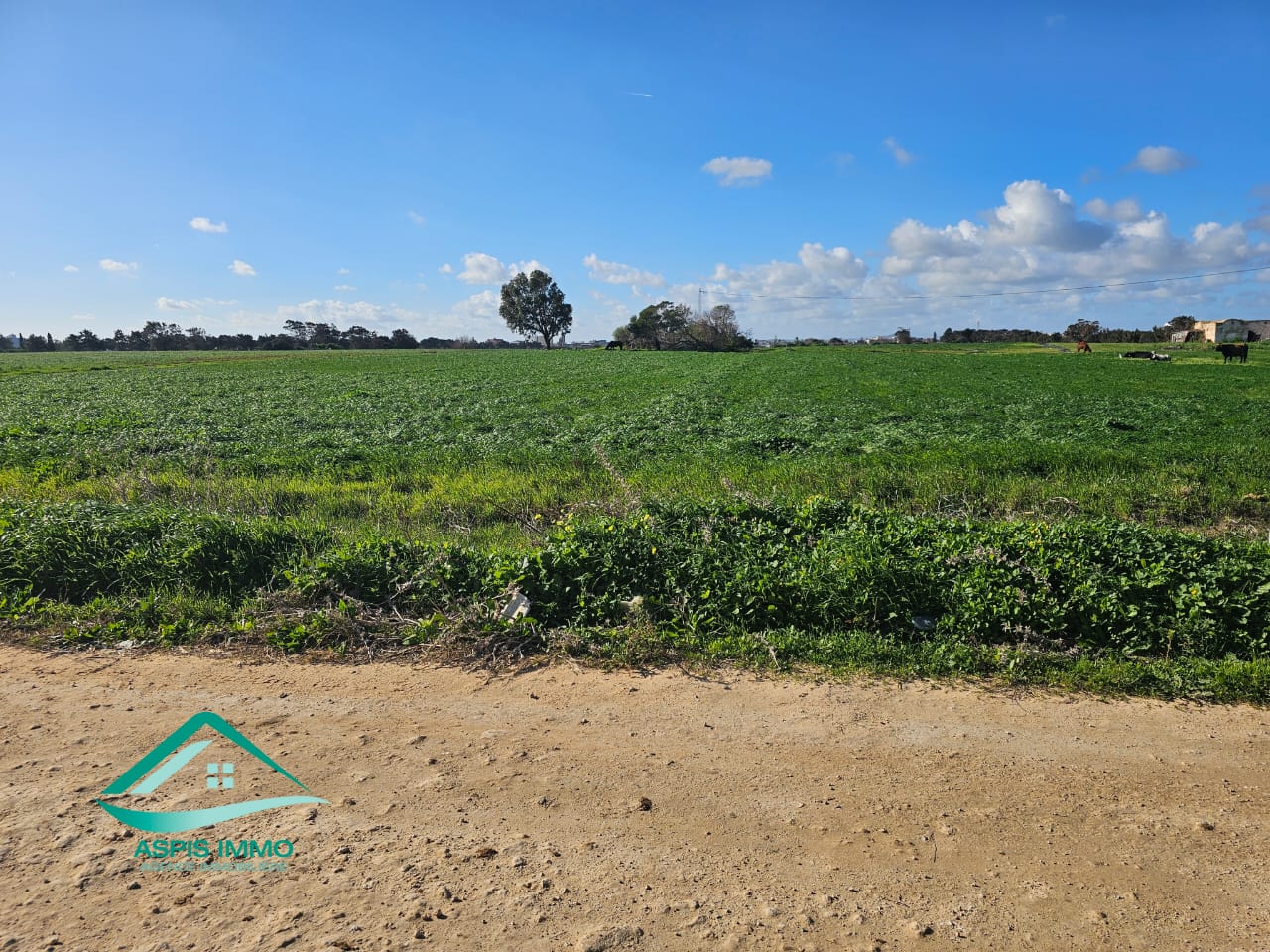 Vente Surfaces - Tunisie