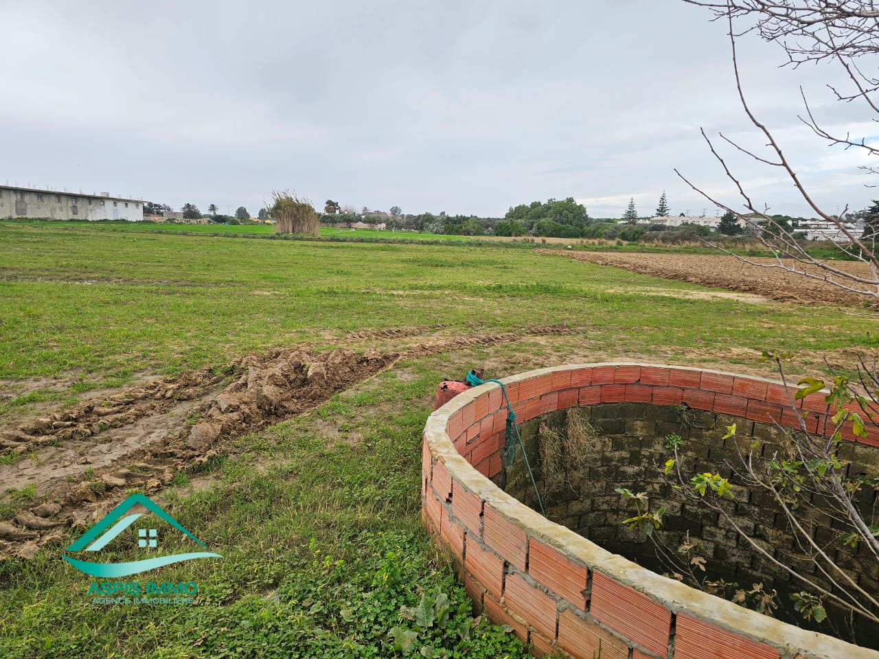 Kelibia&nbsp;Kelibia&nbsp;Vente&nbsp;Surfaces&nbsp;Vt973 terrain 792 m2 � cit� tahert kelibia