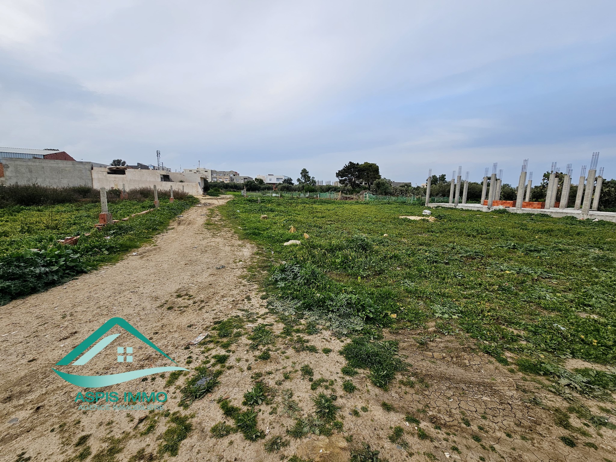 Kelibia&nbsp;Kelibia&nbsp;Vente&nbsp;Surfaces&nbsp;Vt976 terrain 261 m2 � cit� ksiba kelibia