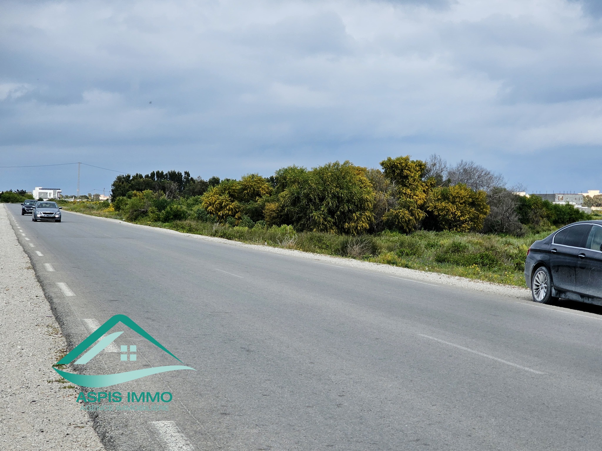 Kelibia&nbsp;Kelibia&nbsp;Vente&nbsp;Surfaces&nbsp;Vt983 terrain 1000 m2 � kelibia