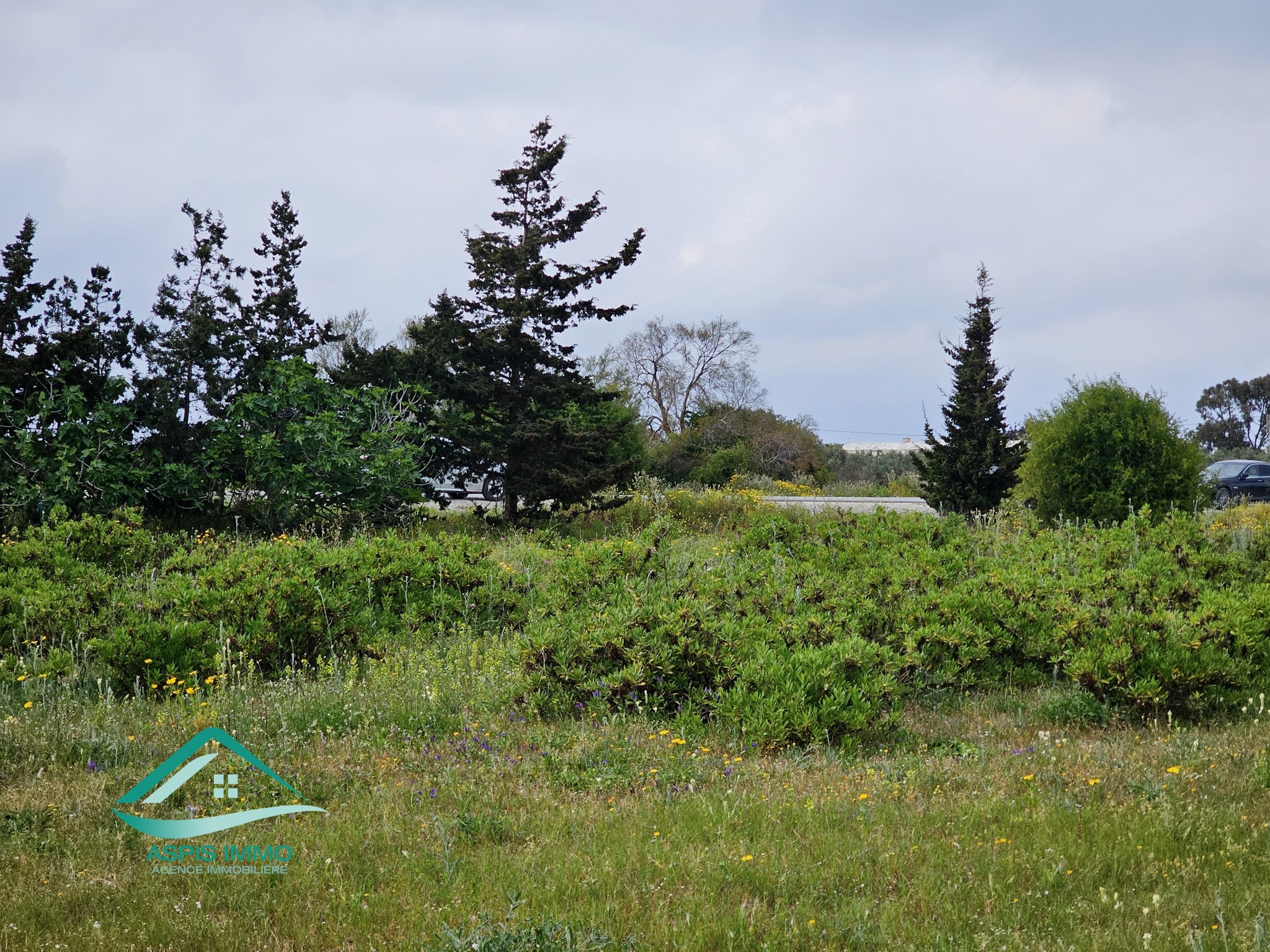 Kelibia&nbsp;Kelibia&nbsp;Vente&nbsp;Surfaces&nbsp;Vt983 terrain 1000 m2 � kelibia