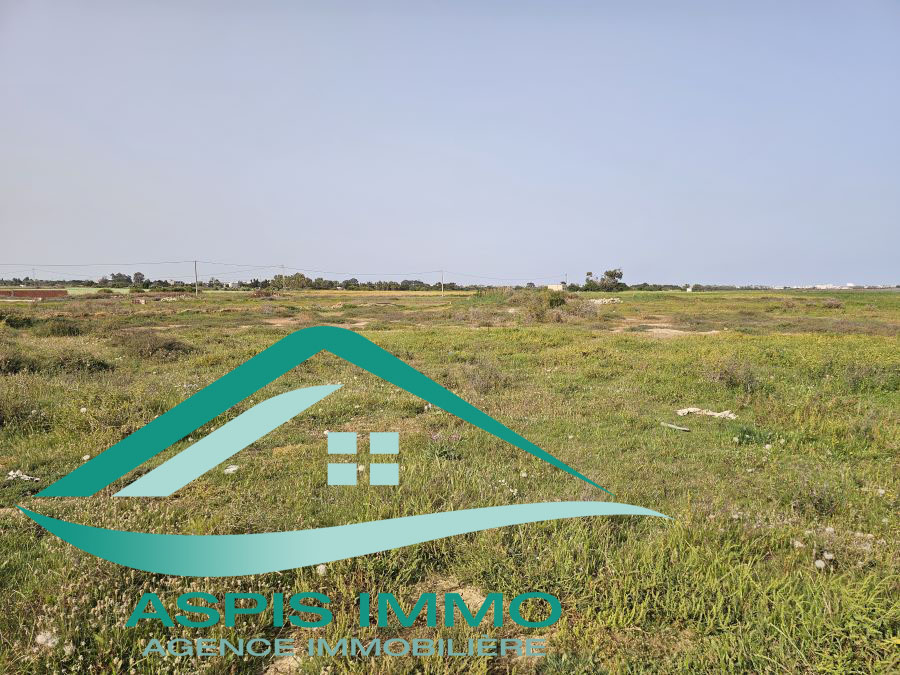 Kelibia&nbsp;Kelibia&nbsp;Vente&nbsp;Surfaces&nbsp;Vt987 terrain 300 m2 � kelibia