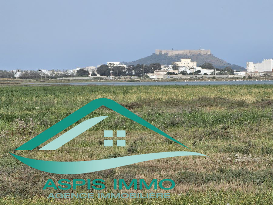 Kelibia&nbsp;Kelibia&nbsp;Vente&nbsp;Surfaces&nbsp;Vt987 terrain 300 m2 � kelibia