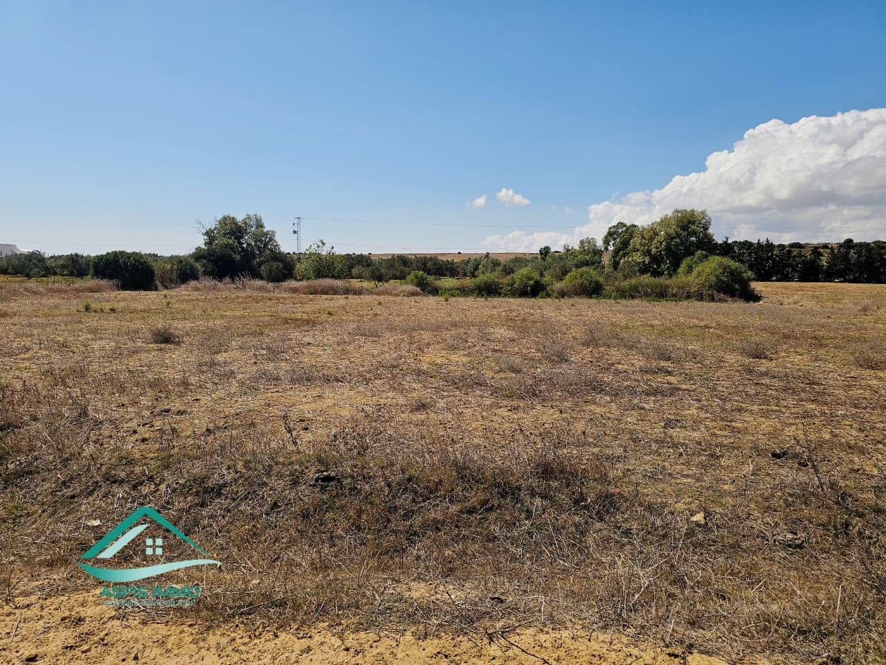 Hammam El Ghezaz Tamazrat Vente Surfaces Vt1004 terrain 1700 m2  tamezrat kelibia