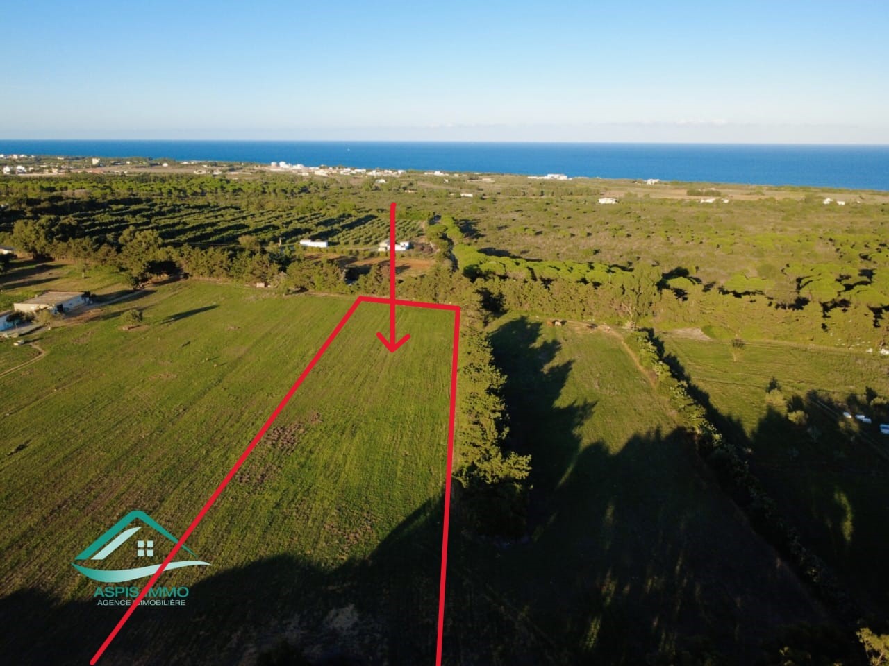 Kelibia Kerkouane Vente Surfaces Vt1006 terrain 14000 m2 sur la route  kerkouene