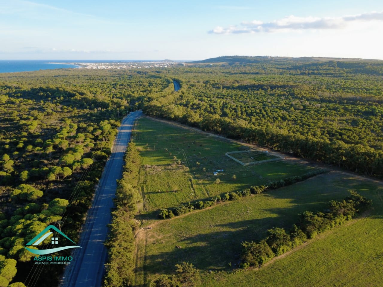 Kelibia Kerkouane Vente Surfaces Vt1006 terrain 14000 m2 sur la route  kerkouene