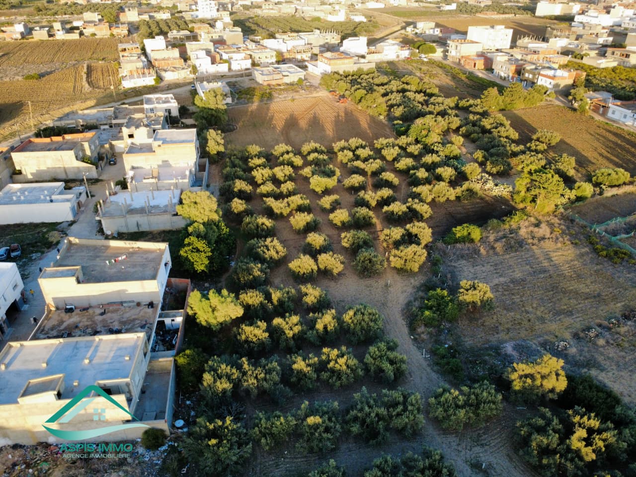 Kelibia&nbsp;Kelibia&nbsp;Vente&nbsp;Surfaces&nbsp;Vt684 terrain commercial 13500 m2 � kelibia