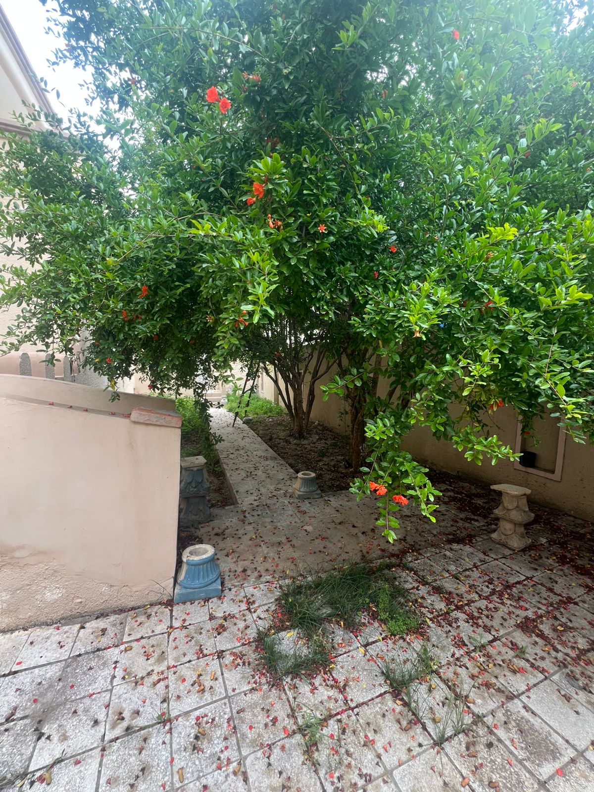 Hammam Chatt Hammam Chatt Vente Maisons Villa a hammam chat