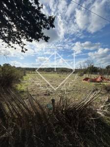 Ras Jebel Metline Vente Surfaces Terrain    bizerte ref218a