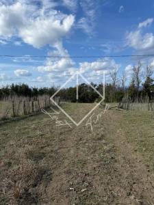 Ras Jebel Metline Vente Surfaces Terrain    bizerte ref218a