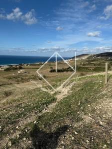 Vente Surfaces - Tunisie