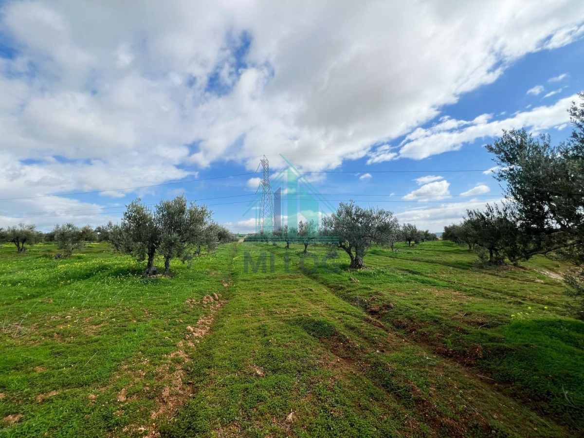 Vente&nbsp;Autre - Tunisie