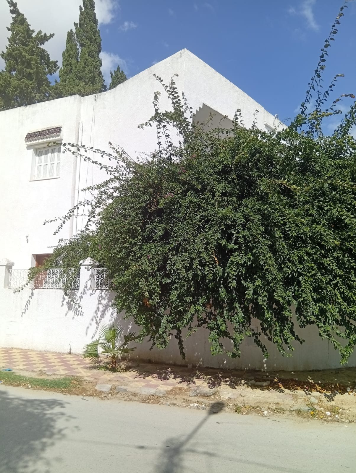 Le Bardo&nbsp;Le Bardo&nbsp;Vente&nbsp;Maisons&nbsp;Vends villa