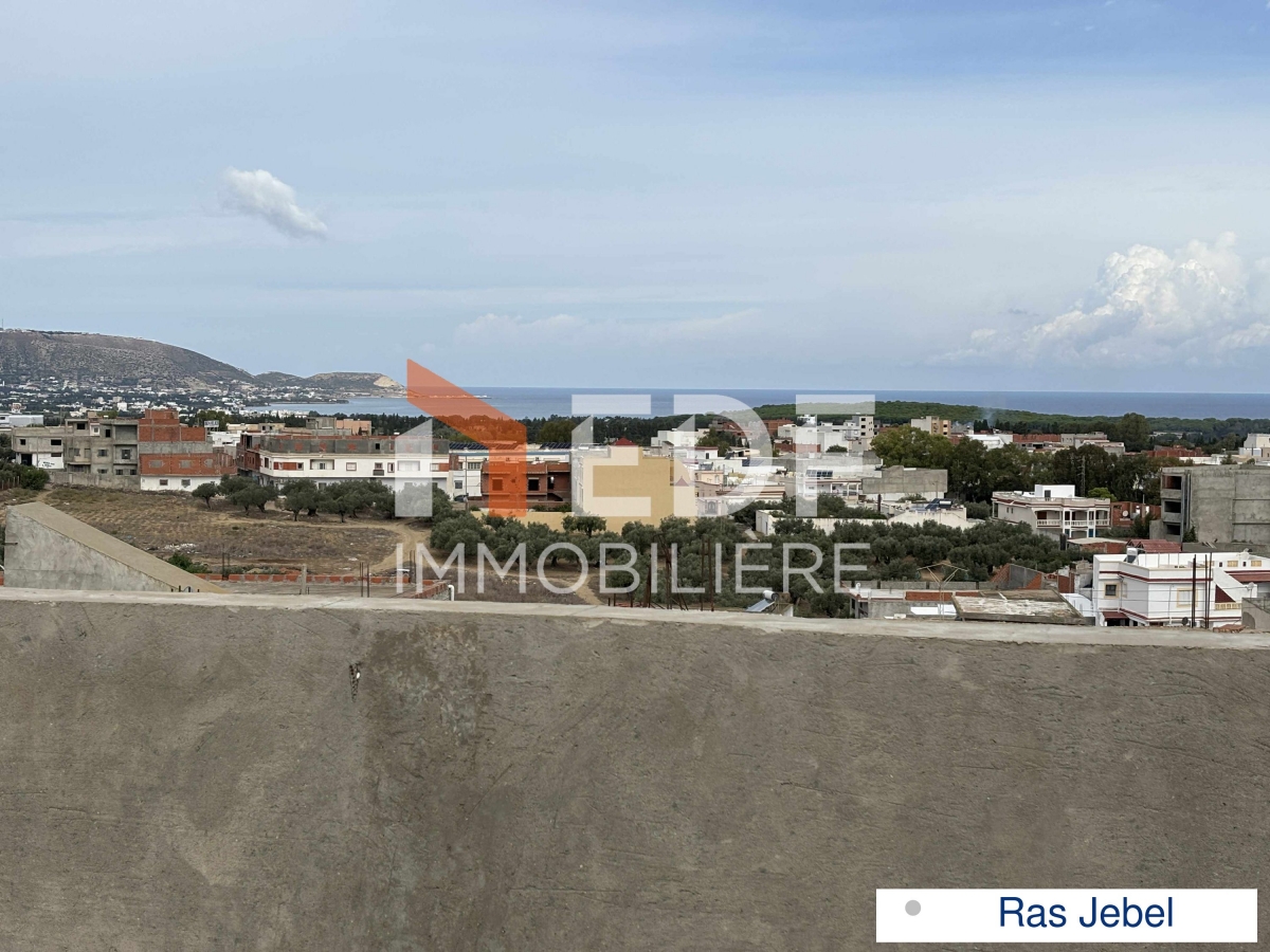 Vente Maisons - Tunisie