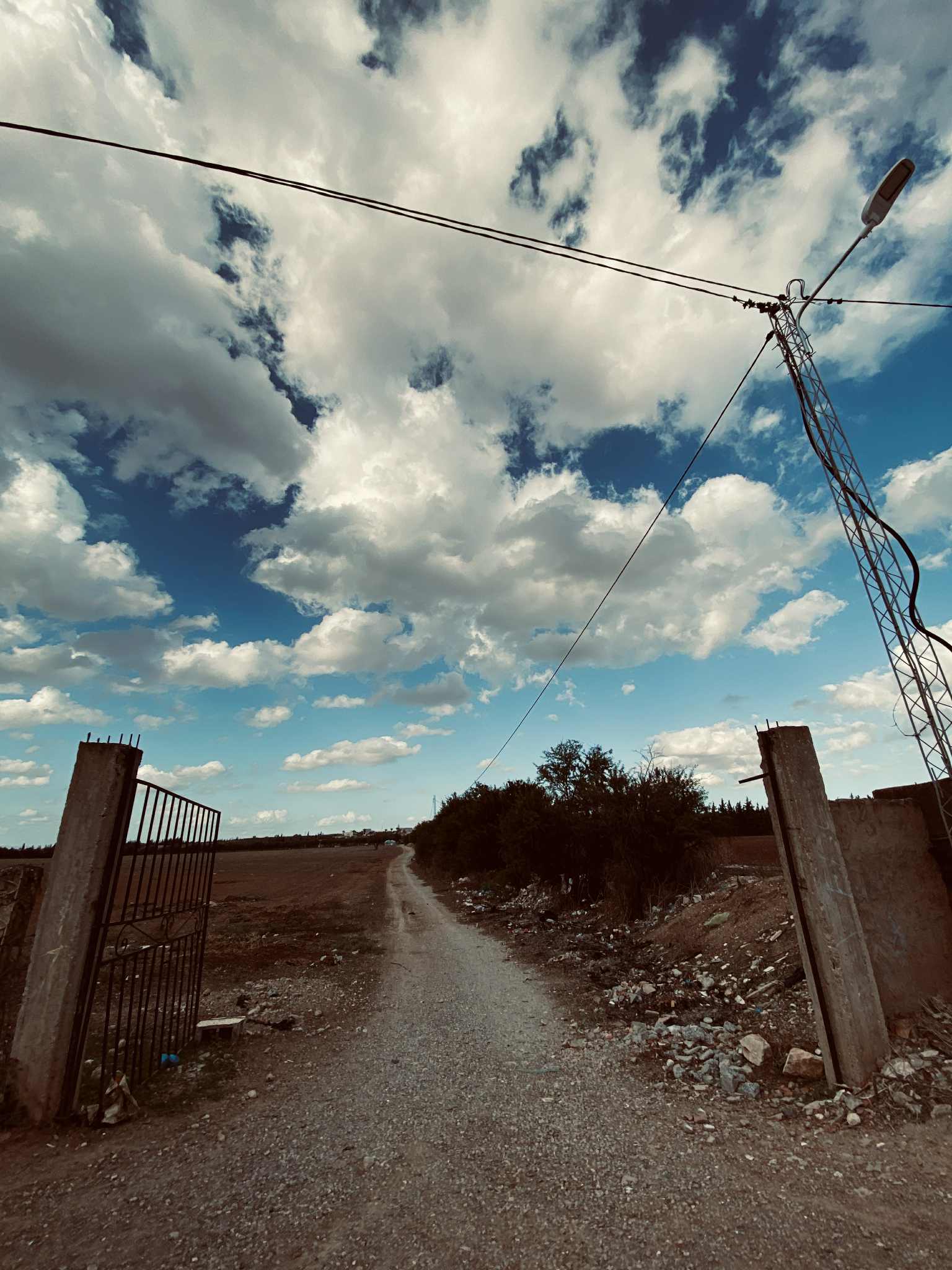 Oued Ellil Oued Ellil Vente Surfaces Terrain agricole  bjeoua oued ellil manouba