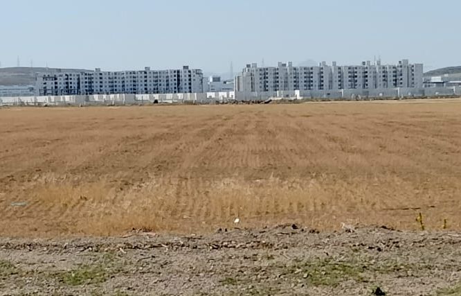 Mornaguia El Fejja Terrain Terrain nu Terrain zone habitation