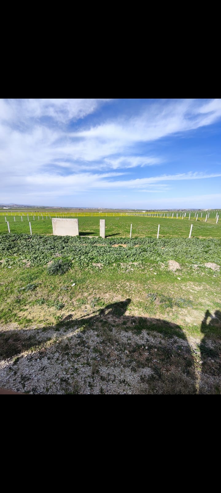 Mornaguia El Fejja Terrain Terrain nu Terrain zone habitation