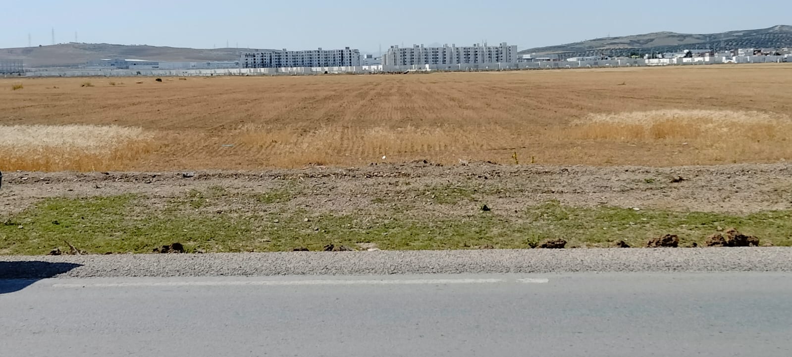 Mornaguia El Fejja Terrain Terrain nu Terrain zone habitation