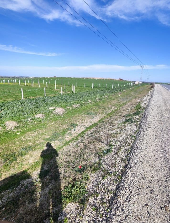 Mornaguia El Fejja Terrain Terrain nu Terrain zone habitation