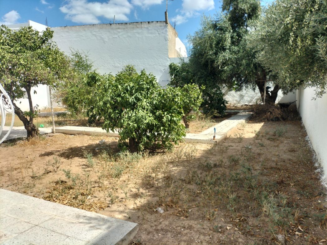 Vente Maisons - Tunisie