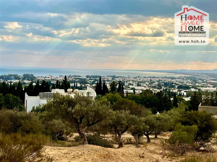 Hammamet Hammamet Terrain Terrain nu Terrain villa vasta  hammamet nord