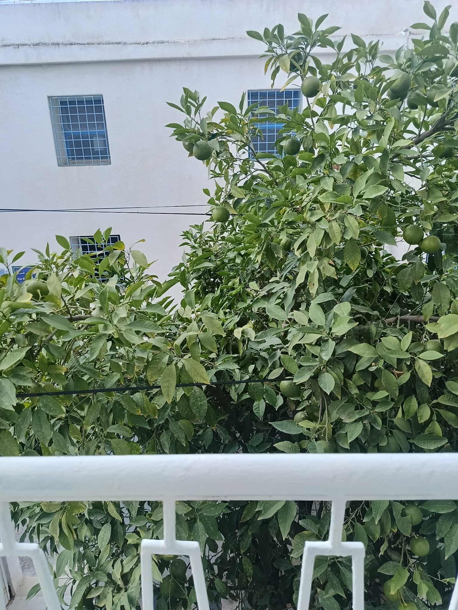 Vente Duplex - Tunisie